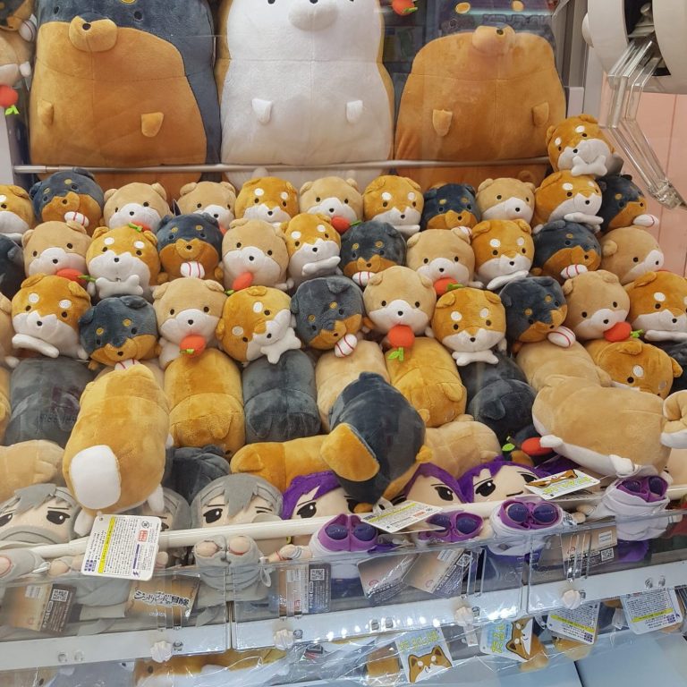 A collection of various plush toys in a arcade machine, featuring shiba dogs and soft characters.